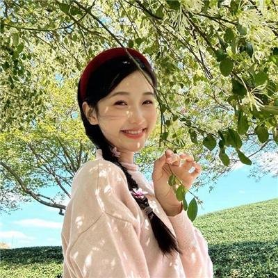 奇妙的家族国语